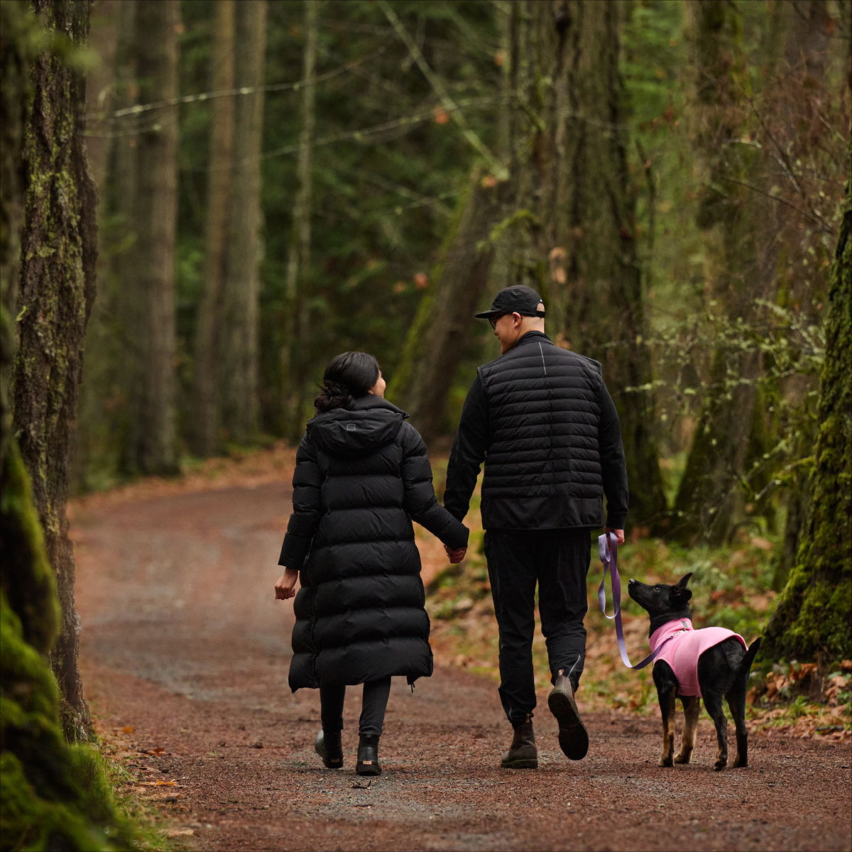 A couple walking hand in hand with a dog in a forest.