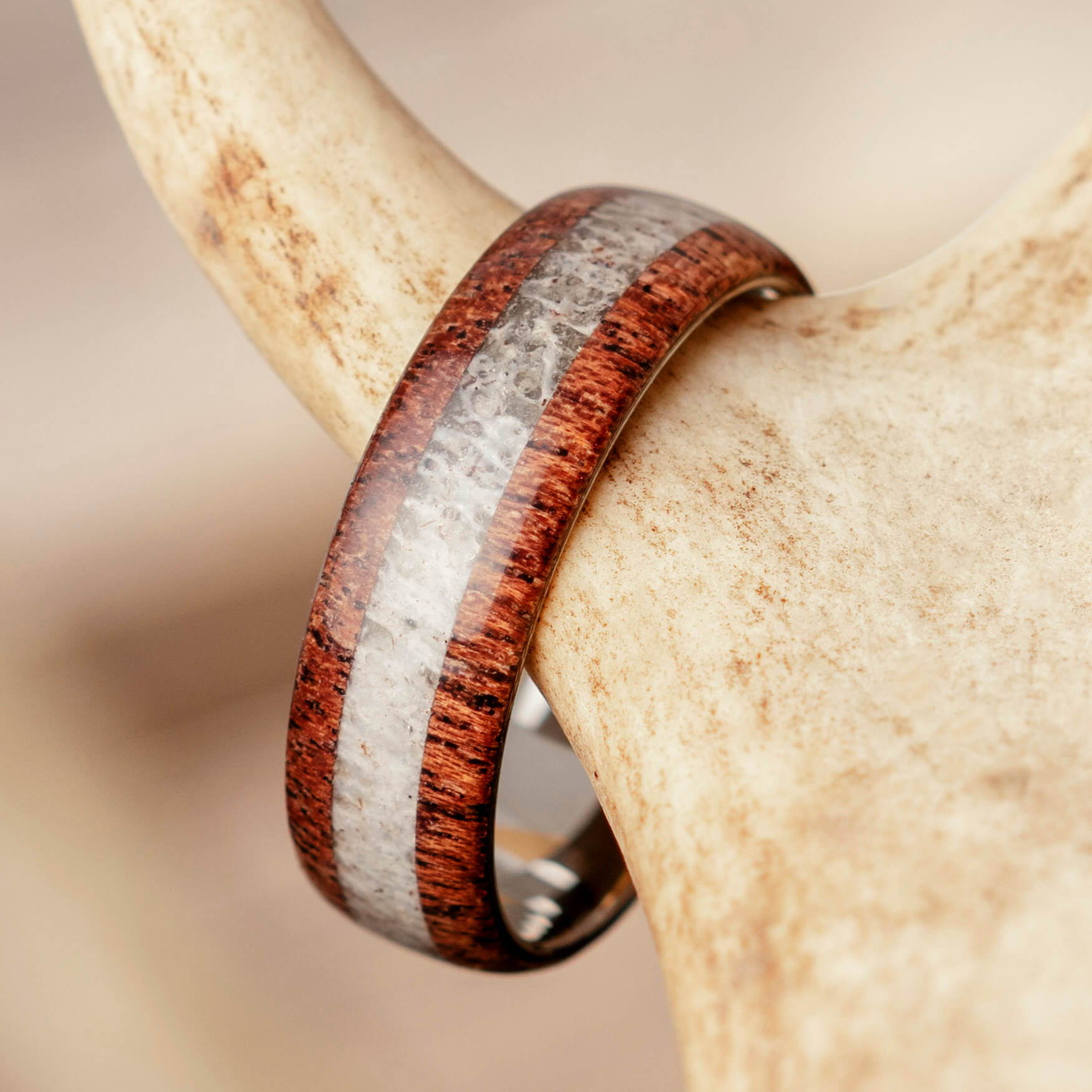 Wood and Antler Ring