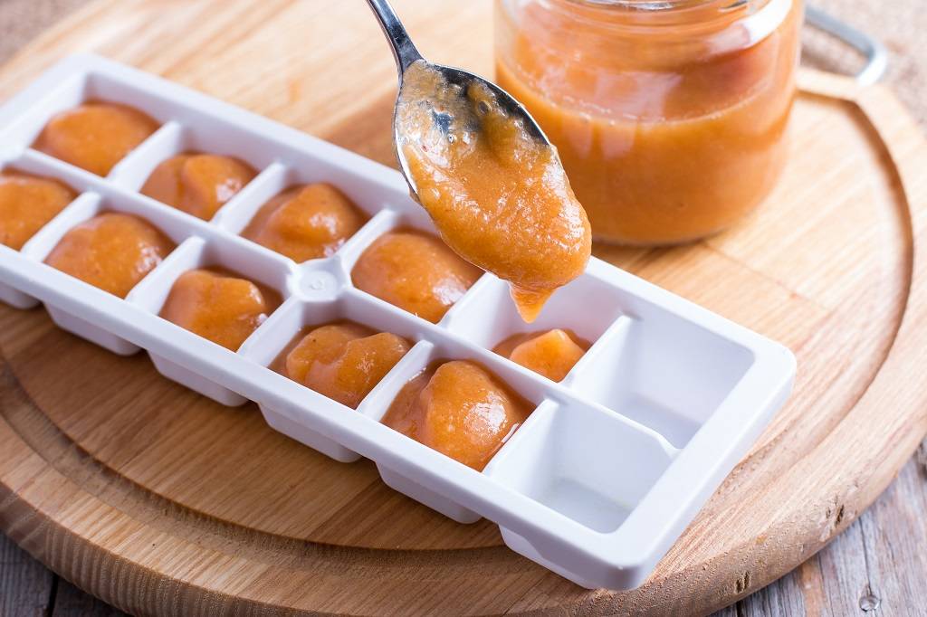Baby Food storage ice tray