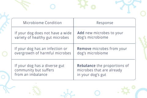 Dog Microbiome Condition Chart: Add, Remove, or Rebalance Microbes