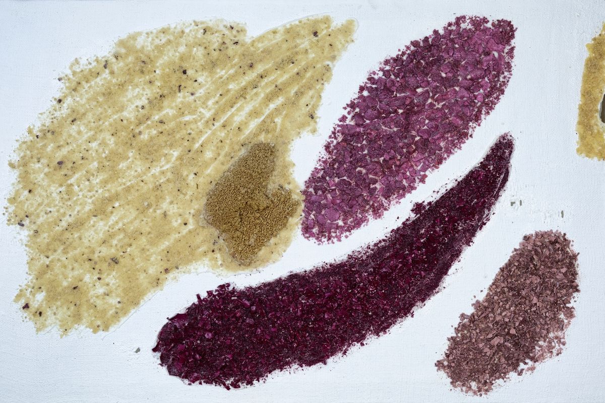 Different colored spices and powders arranged on a white background.
