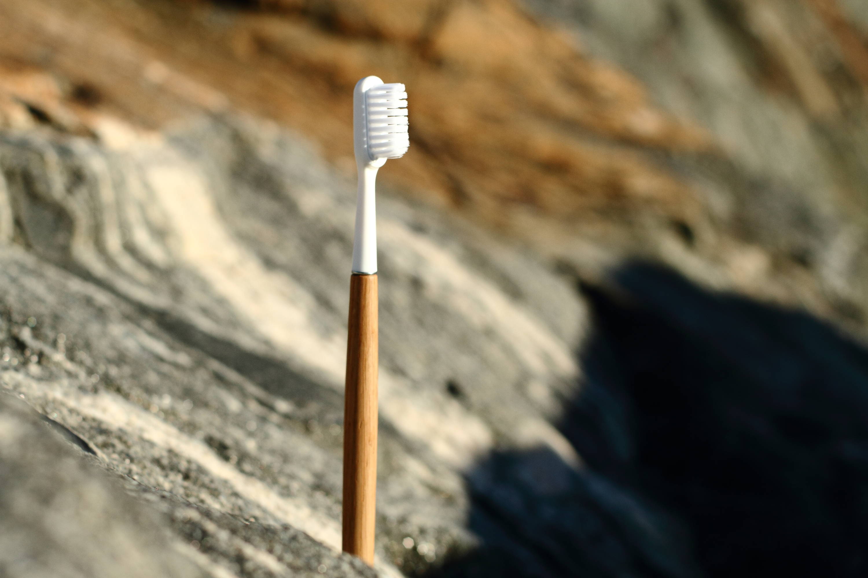 Support pour tenir la brosse à dents debout. Caliquo, bois de chêne