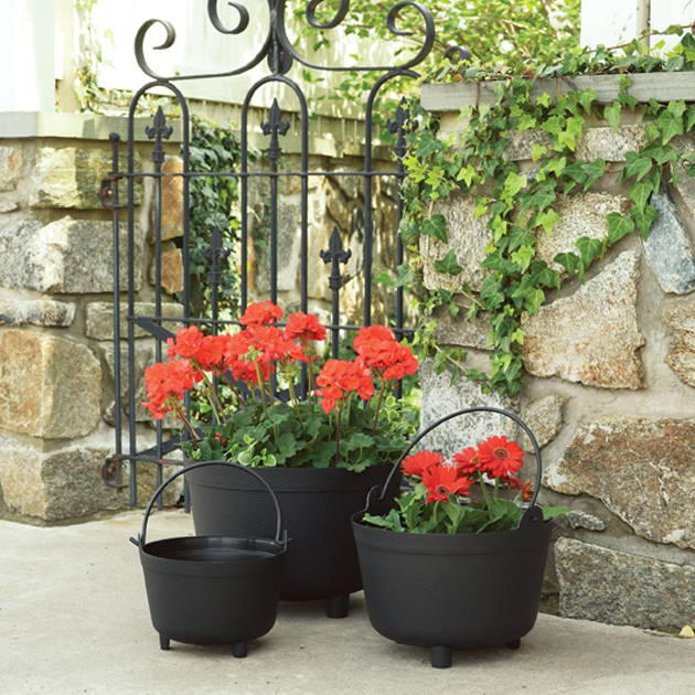 Red flowers growing in black antique kettle planters