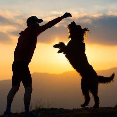 natural supplements for pets