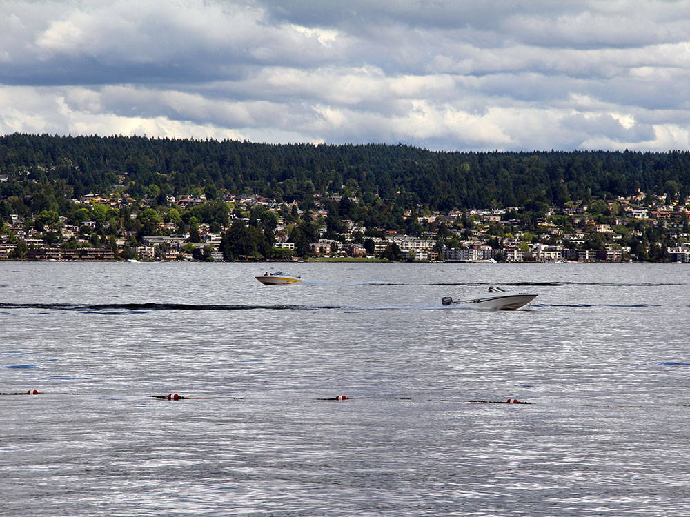 Boats on Meydenbauer Bay in seattle