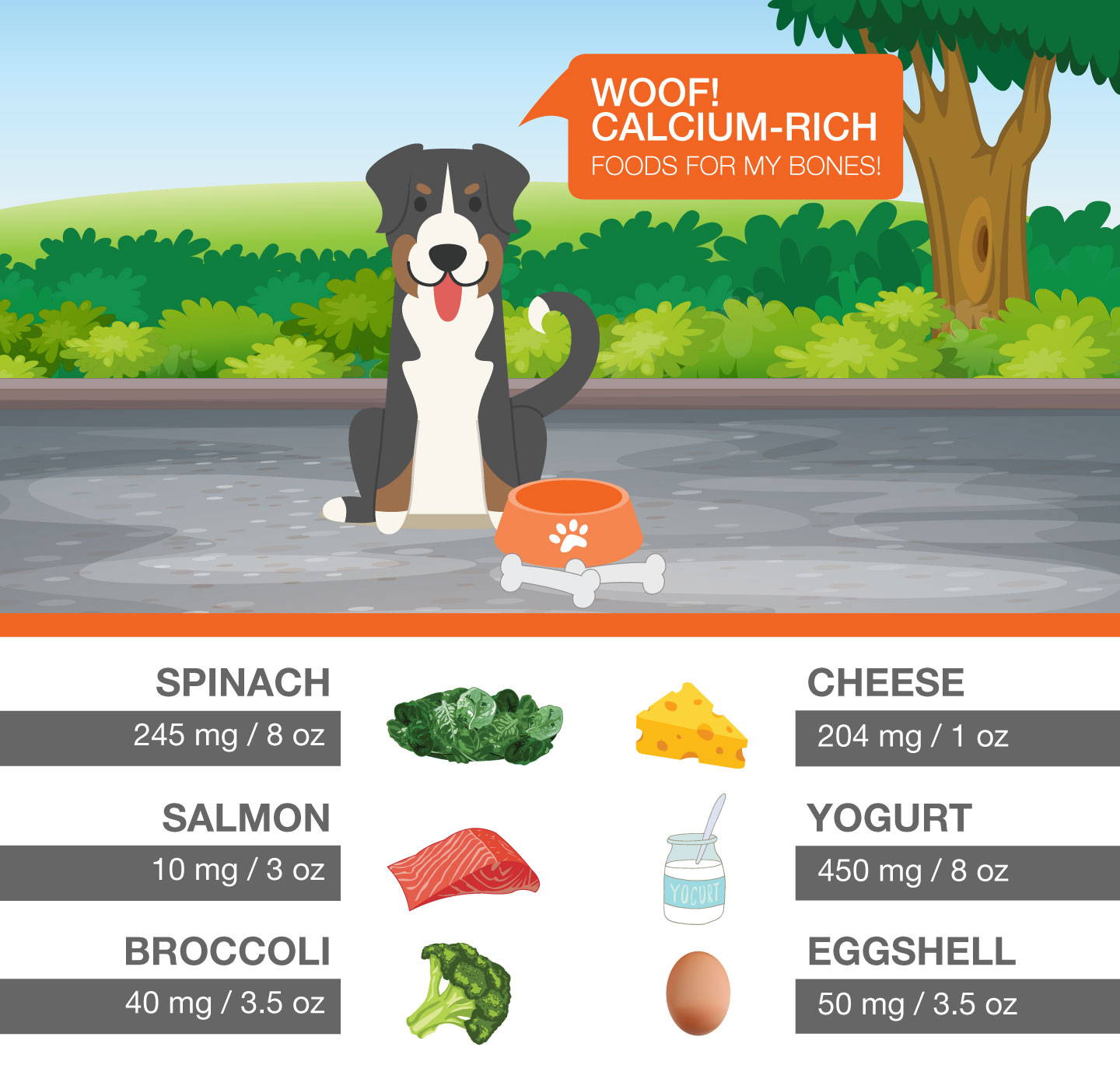 Can Dog Food Cause High Calcium Levels?