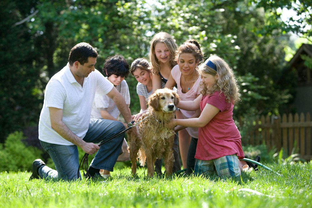 A family washing a golden retriever in a sunlit green backyard