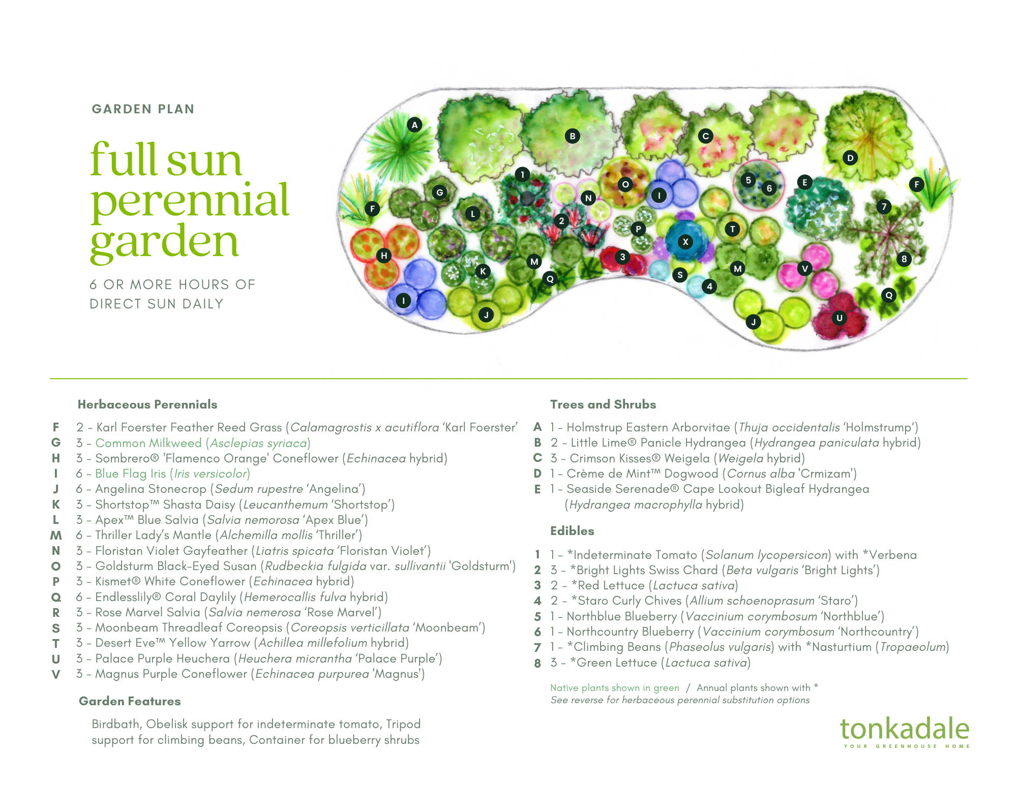 Perennial Garden Plans Tonkadale