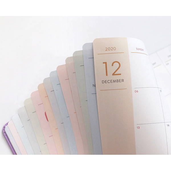 100gsm paper - 2020 Prism dated monthly planner notebook