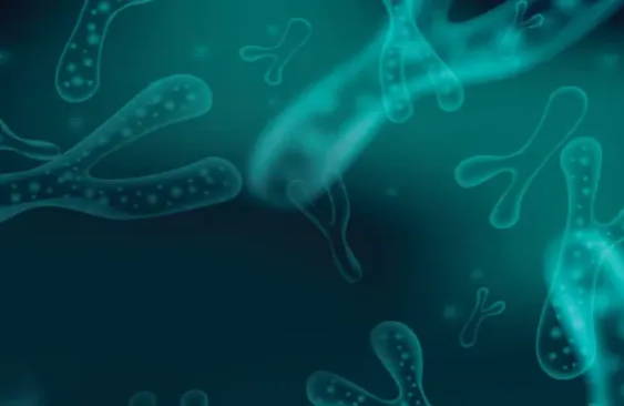 Press - Psychobiotics, the gut-brain axis, and more – Bened Life