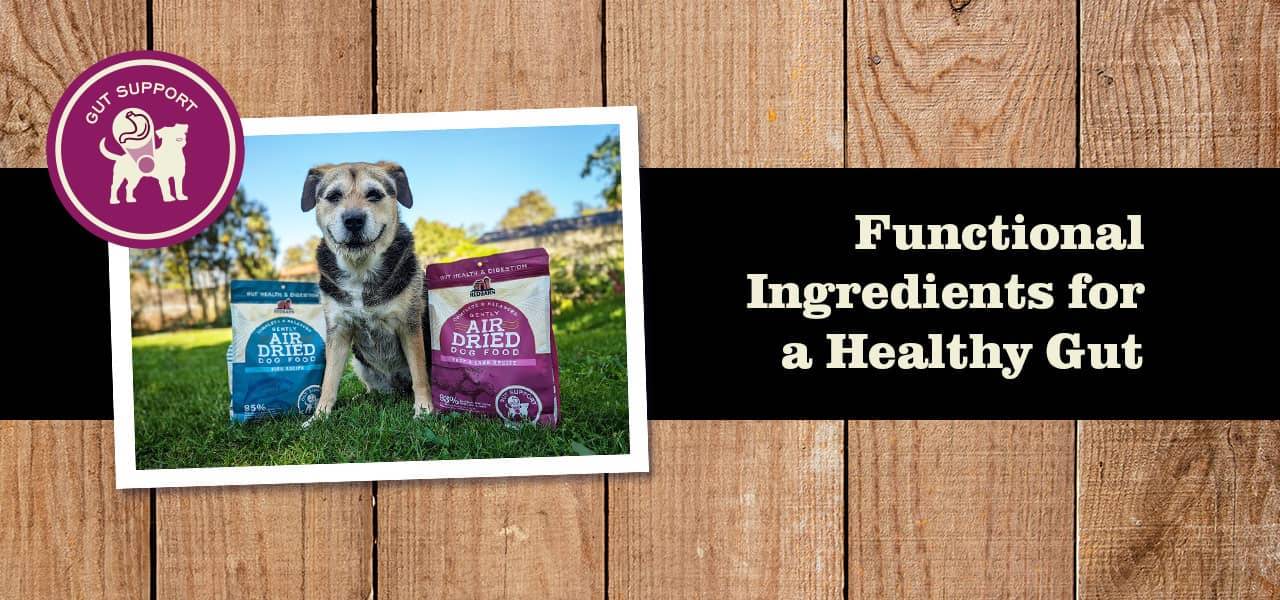 Photo of a smiling dog with text: Functional Ingredients for a Healthy Gut