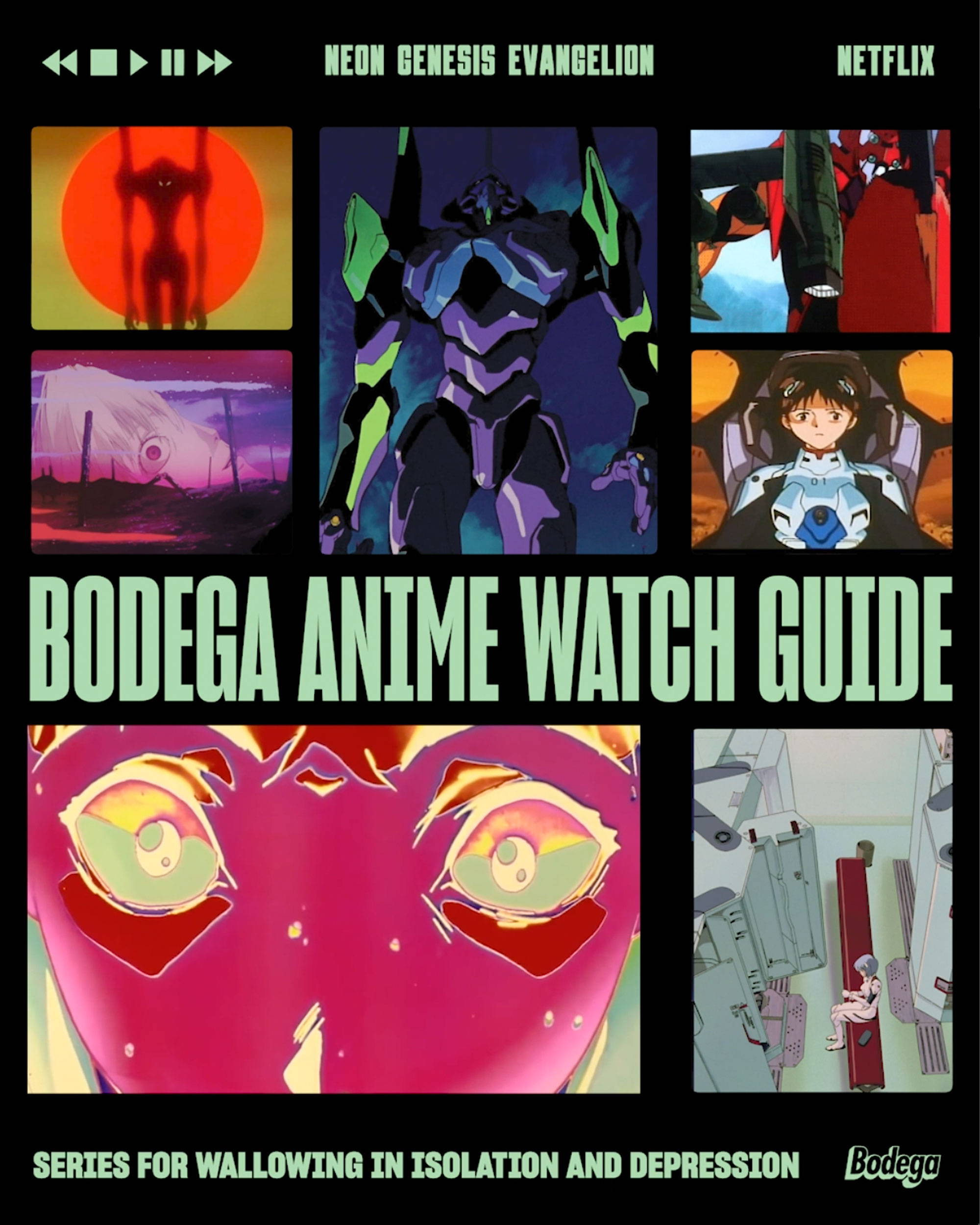 Neon Genesis EVANGELION, Anime Guide