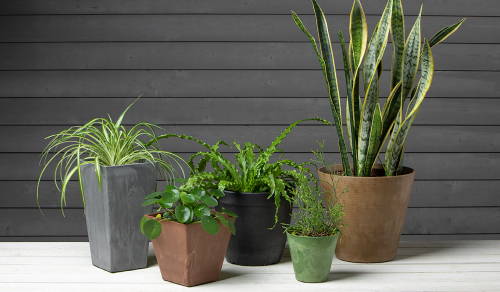Plants growing in different sizes, shapes and colors of resin planters