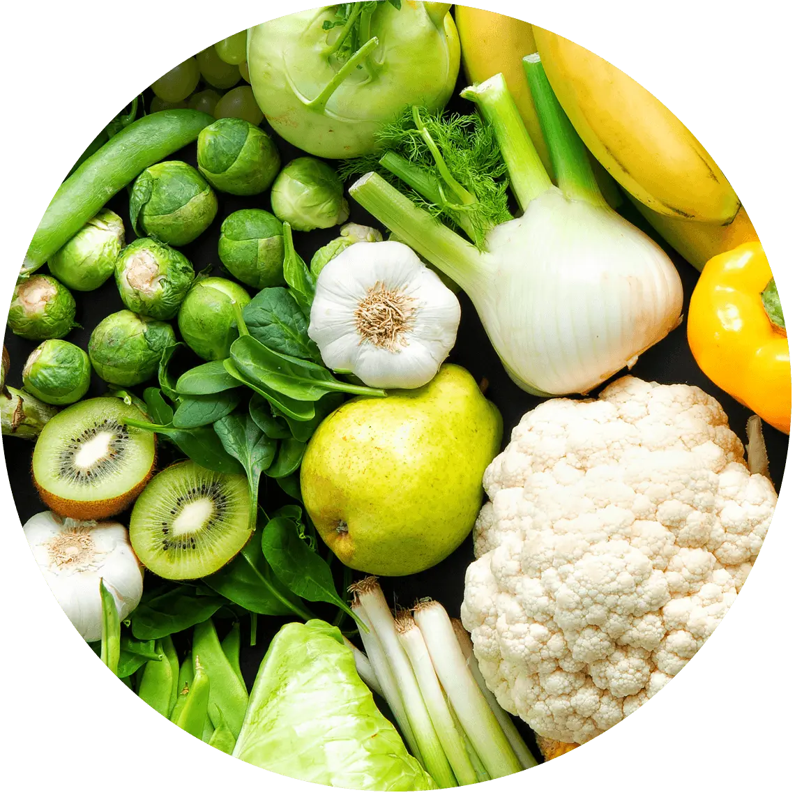 A variety of white vegetables arranged neatly on a surface.