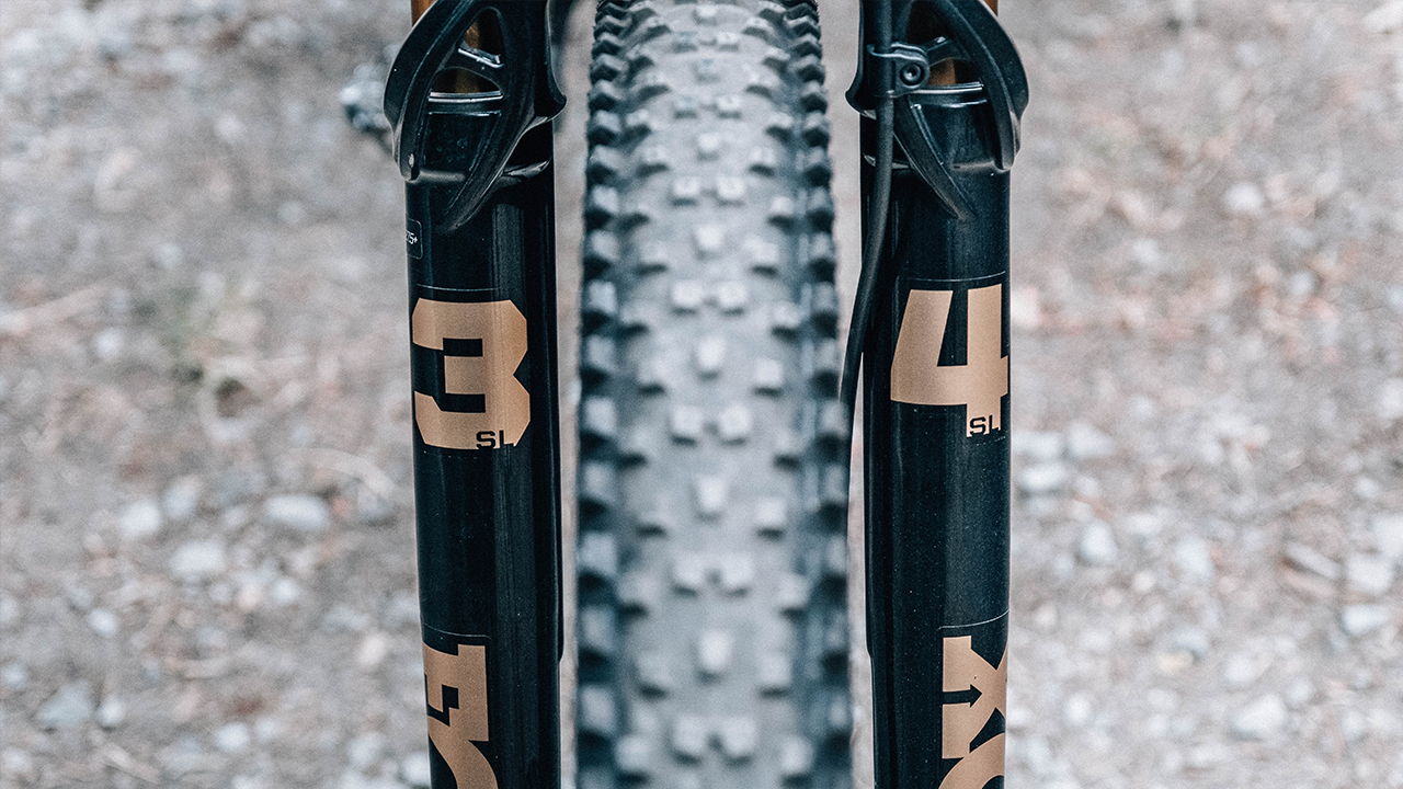 Fork Detail - Fox 34sl
