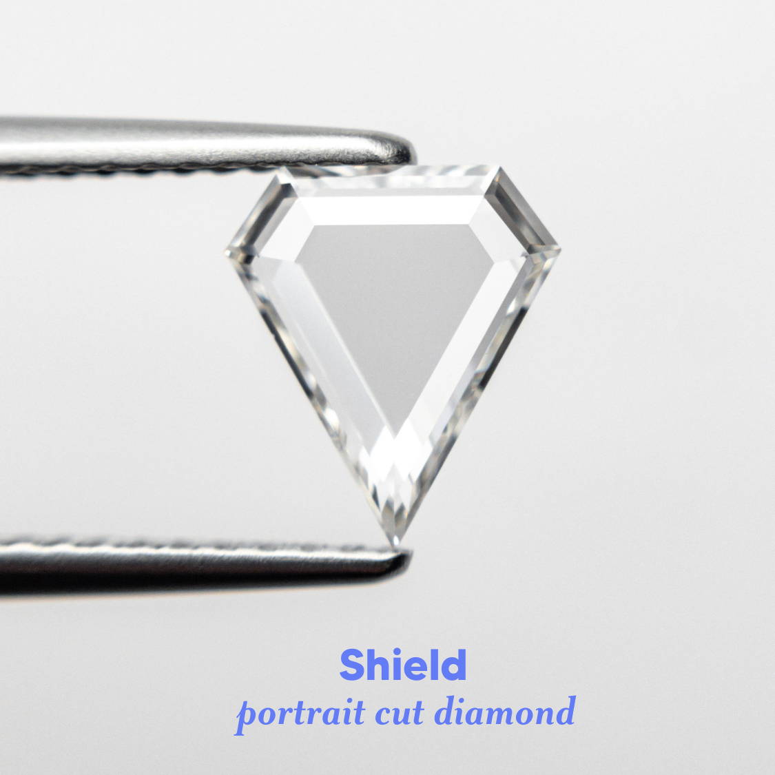 shield portrait cut diamond