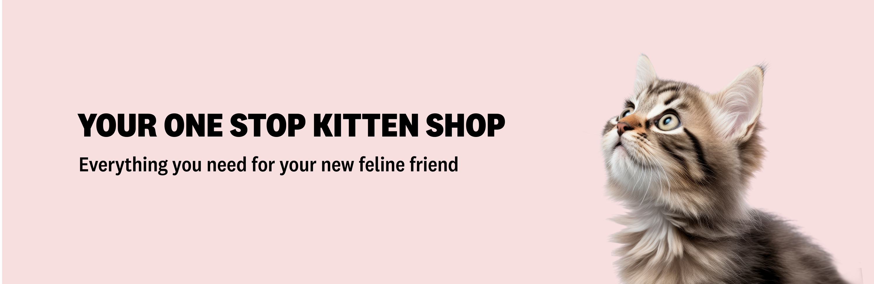 Your One Stop Kitten Shop