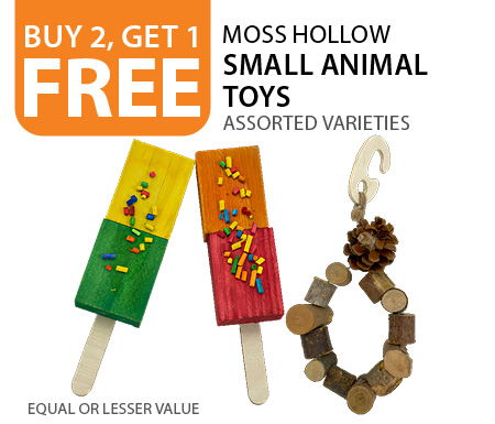 Buy 2, get 1 free Moss Hollow Small Animal Toys. Equal or lesser value