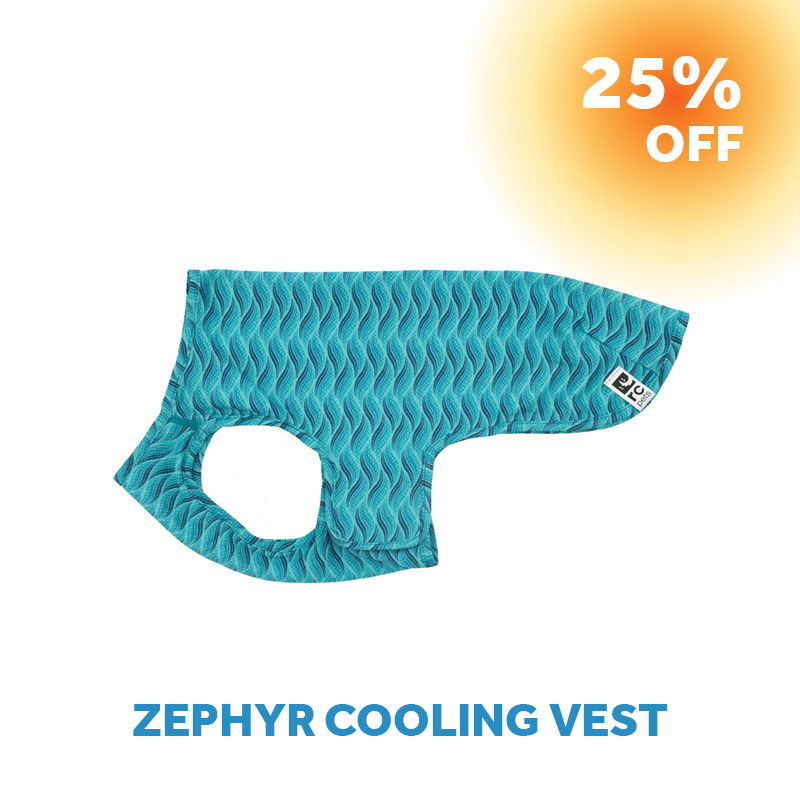 Blue Zephyr cooling vest with a 25% off promotion.