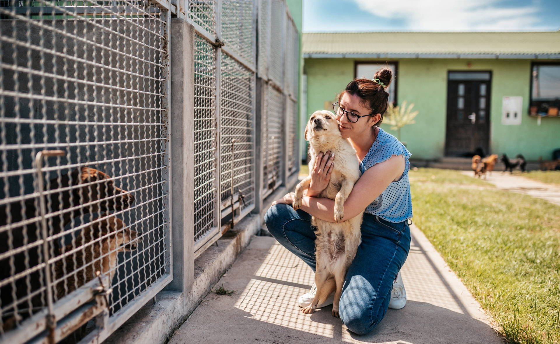 Shameless Pets celebrates national dog rescue day 