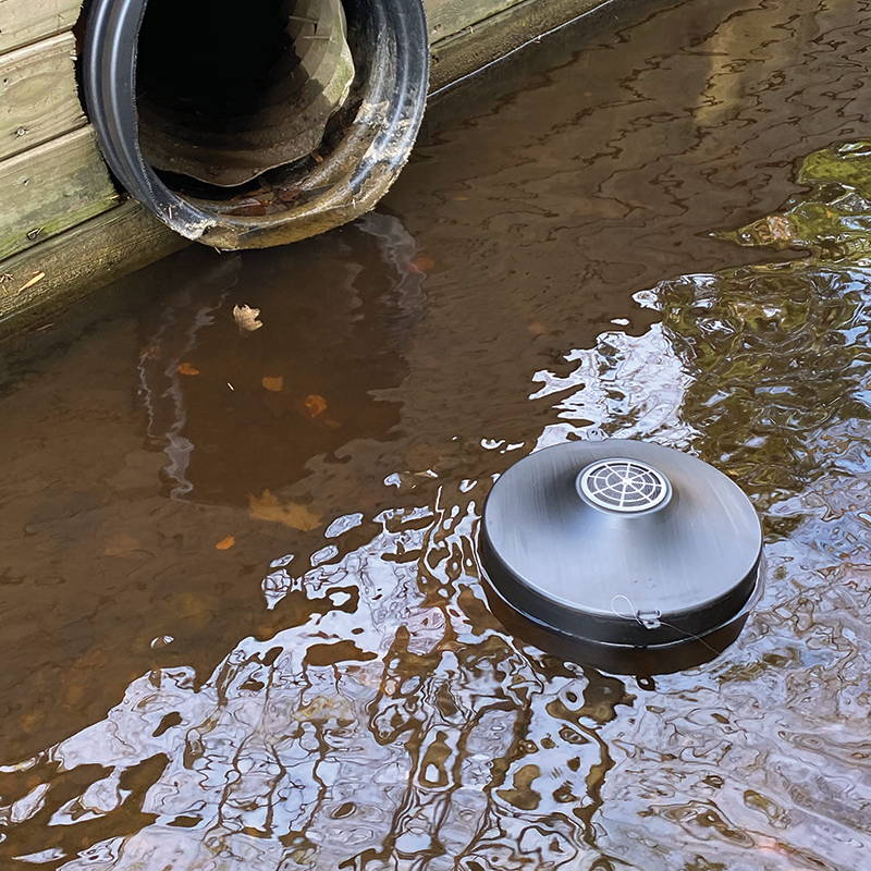 STUCK mosquito trap in standing water
