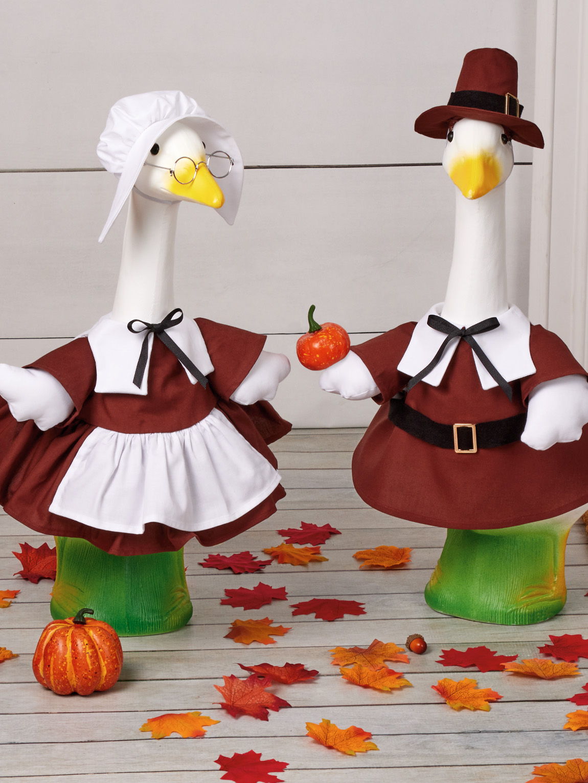 Two dressed-up geese celebrating Thanksgiving with pumpkins and autumn leaves.