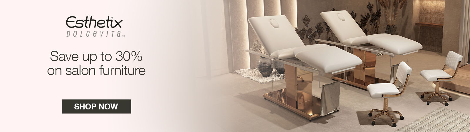 Advertisement for Esthetix with salon furniture discount offer.