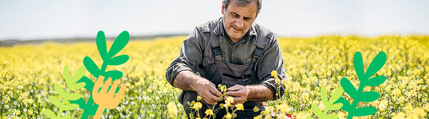 Farmer picking flowers by hand- Babo Botanicals