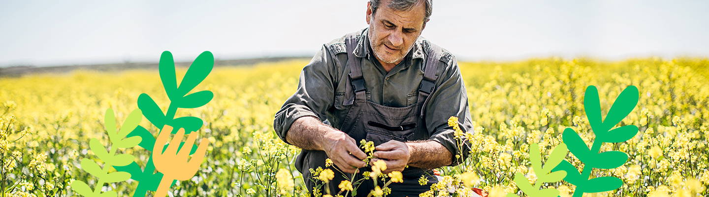 Farmer picking flowers by hand _Babo Botanicals