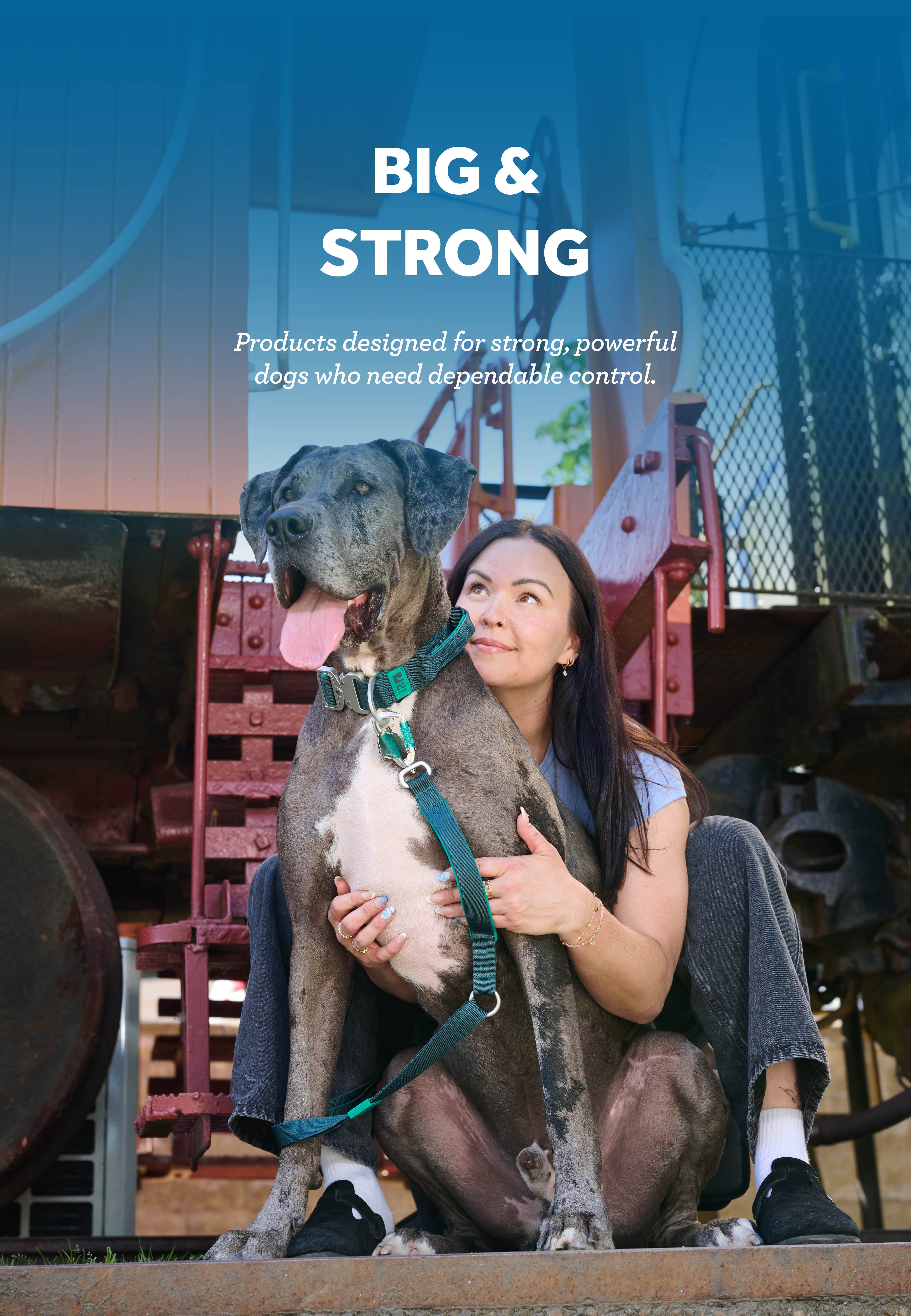 A woman sits with a large dog, both looking content.
