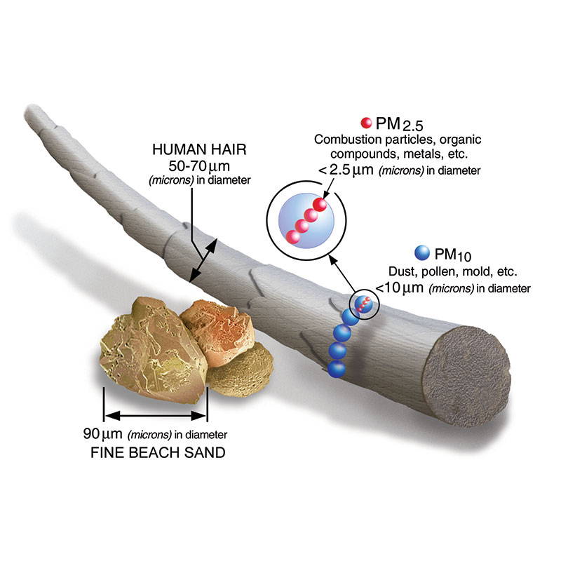 human hair, beach sand, PM 2.5 and PM 10 micron MERV rating illustration