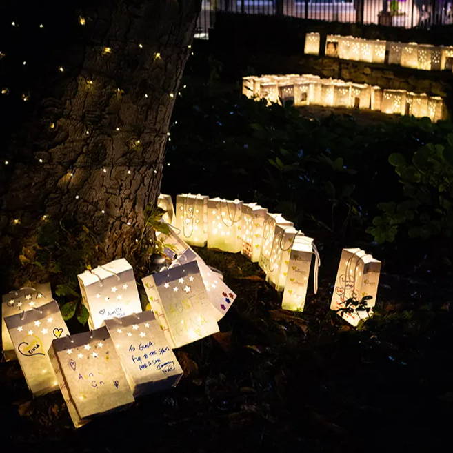 The lanterns placed next to a tree in the memorial garden at the end of the walk.