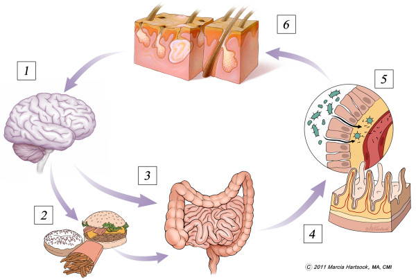 Gut-skin-brain axis