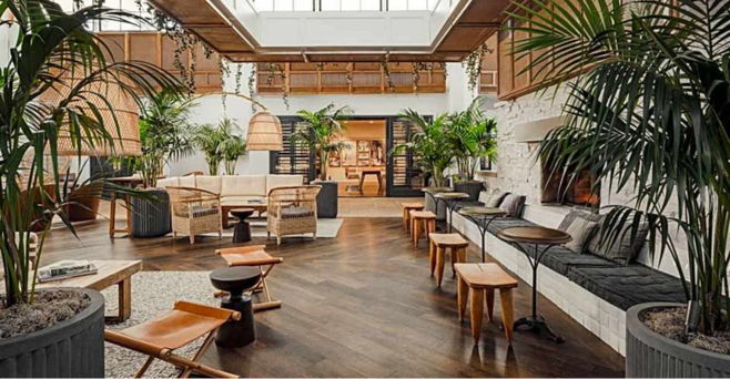 Modern indoor lounge with plants, wooden furniture, and large windows.