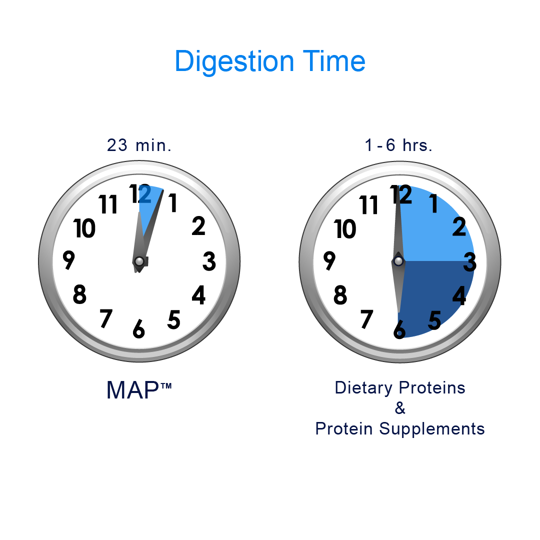 Digestion Time