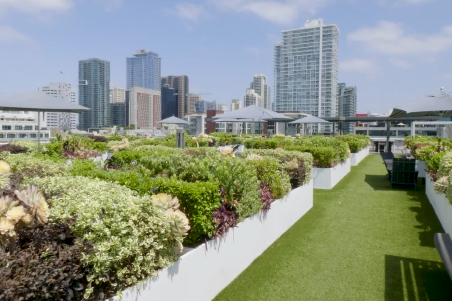 Rooftop garden with greenery and city skyline in the background.