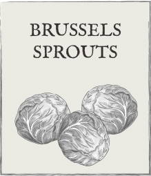 Jump down to Brussel Sprouts growing guide