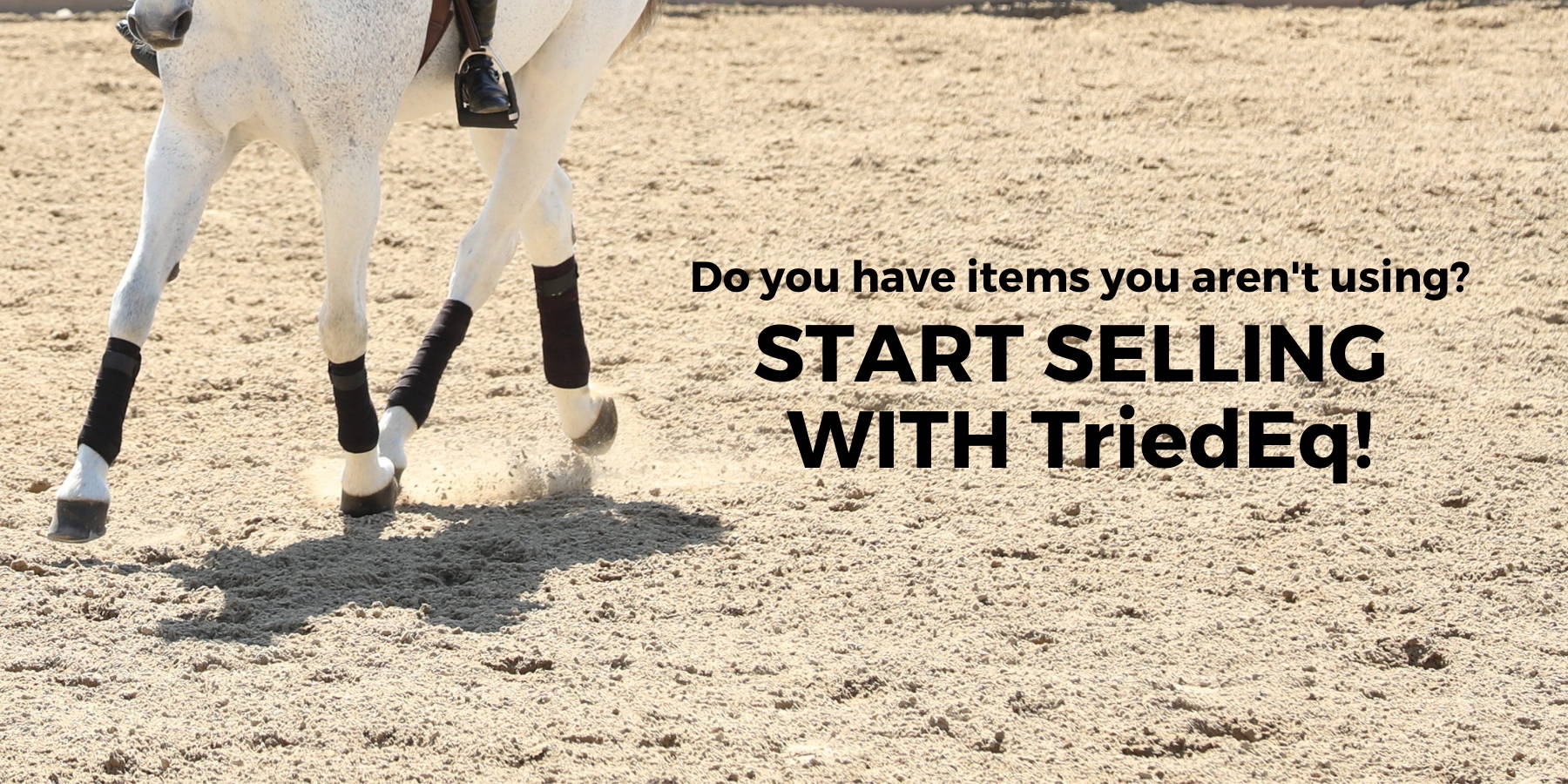 Sell your items with The Tried Equestrian. Gray horse trots by in riding arena with black polo wraps.
