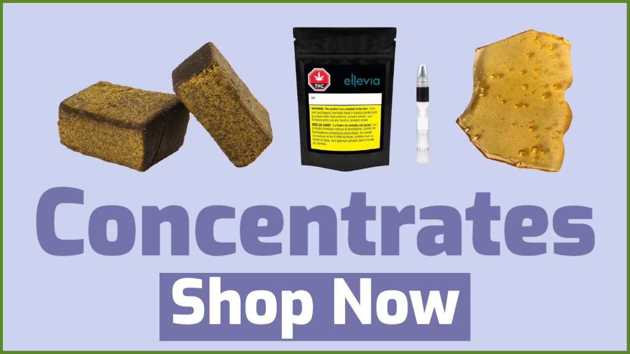 Concentrates | Hash | Shatter | Live Rosin | Honey Oil | Jupiter Cannabis Winnipeg