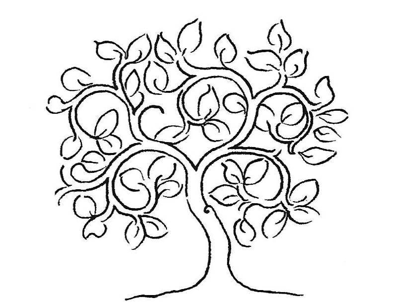 Drawing of the tree of life