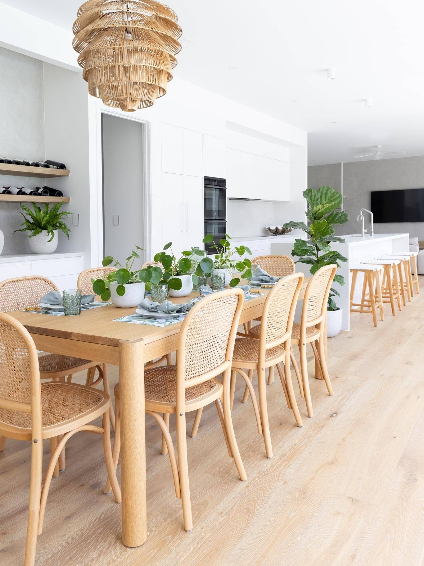 Indoor Plants styled nicely in a kitchen and dining room area with timber table and chairs