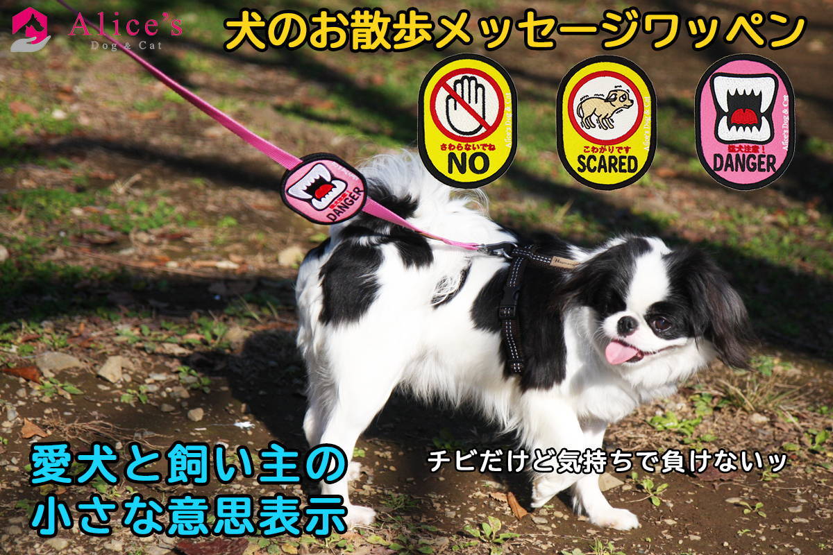 イエロードッグプロジェクト リボン 犬のお散歩メッセージワッペン