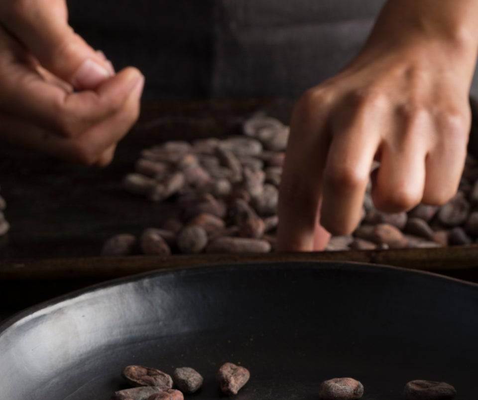 Hands picking cacao beans