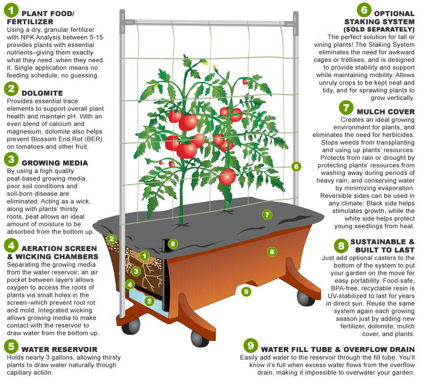 A diagram of the EarthBox Original Gardening System showing each element, including plant food/fertilizer, dolomite, growing media, aeration screen & wicking chambers, water reservoir, optional staking system, mulch cover, and water fill tube and overflow drain