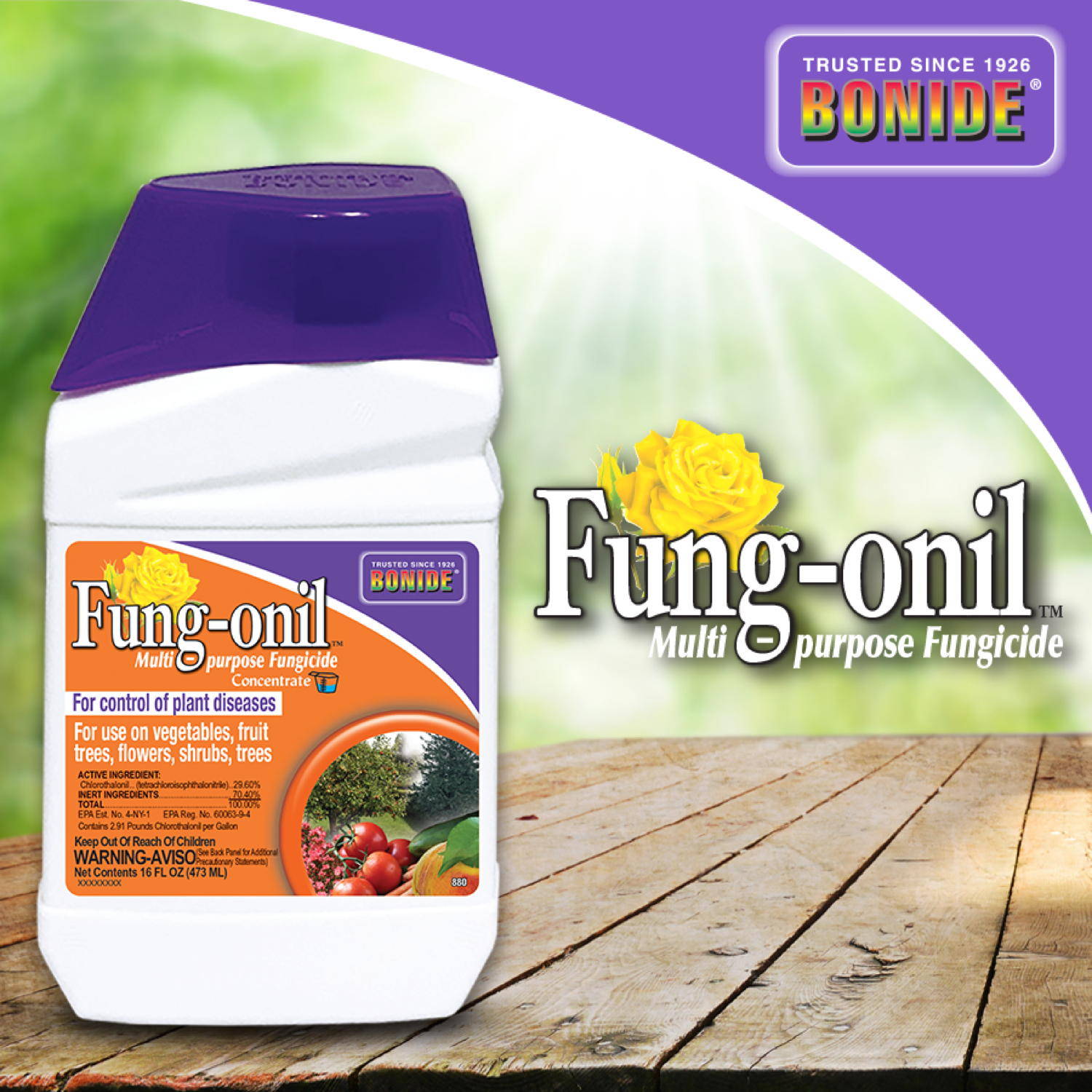 Fung-onil 1 qt concentrate