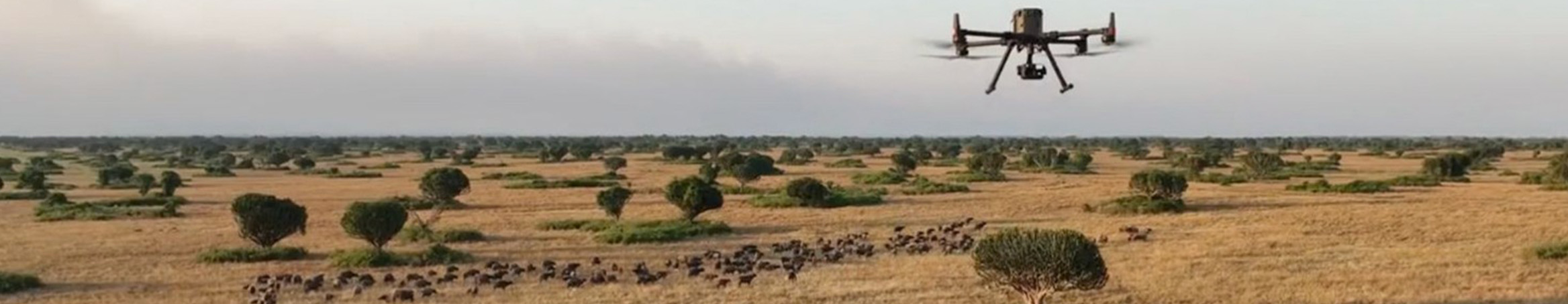 Wildlife Conservation Monitoring_long.jpg