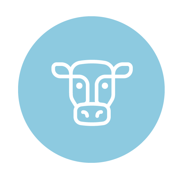 Amandean Premium Grass-Fed Collagen Peptides Powder