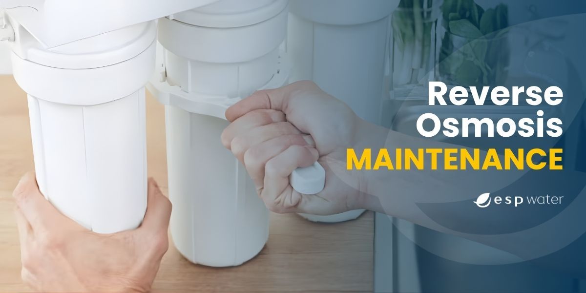 Reverse Osmosis System Maintenance