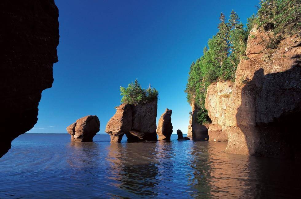 Principales destinations de voyage nature au Canada - Baie de Fundy, Nouveau-Brunswick