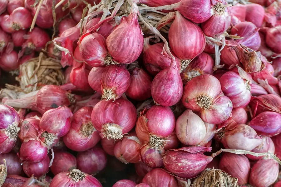 https://marshallsgarden.com/pages/how-to-grow-onions-and-shallots